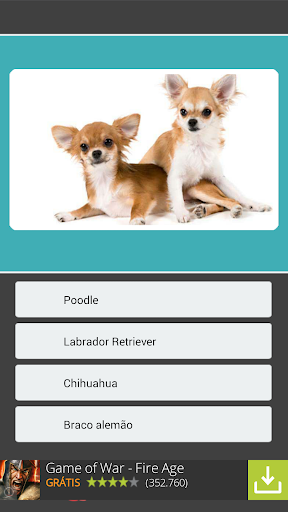 【免費益智App】Qual é o cachorro?-APP點子