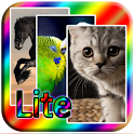 Wallpapers and pictures lite