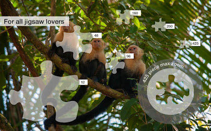 Costa Rica Jigsaw Puzzles Demo poster 10