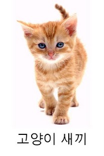 Lastest X Domesticated Animals Korean APK