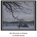 Pic Pocket a Poem logo