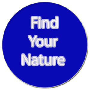 Find Your Nature 1.1.1