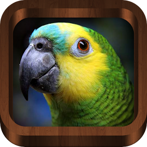 Bird Calls 4500+ Songs & Sound LOGO-APP點子