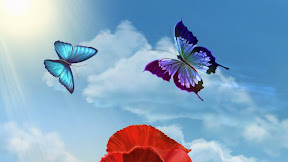 Bacground Bunga Dan Kupu-Kupu Bergerak / Bacground Bunga Dan Kupu-Kupu Bergerak / Https Encrypted Tbn0 Gstatic Com Images Q Tbn And9gcrxj ...