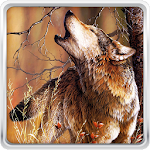 Cover Image of Télécharger Wolf Live Wallpaper 18.0 APK