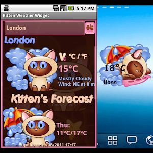 Kitten  Weather Widget