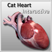 Cat Heart Interactive