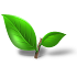 Shifa Repertory Homoeopathy1.0