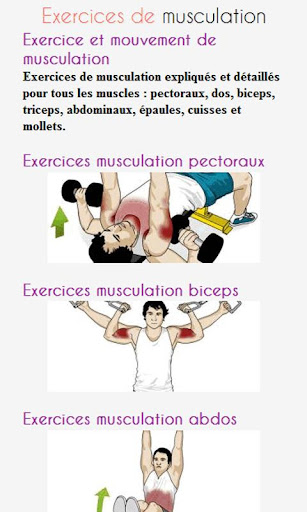 Exercices de Musculation