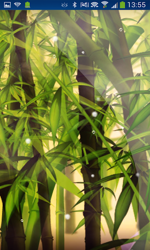 Bamboo Forest Live Wallpaper