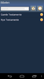 Danish Holy Bible poster 1