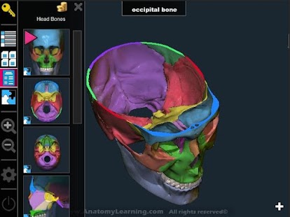  Anatomy Learning - 3D Atlas: miniatura de captura de pantalla  
