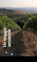 Amelia - Umbria Musei poster 7