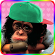 Sweet monkey to dress APK