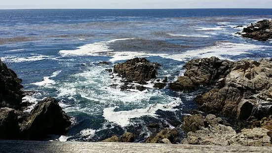 Free Download Scientific Camera Pro APK for Android