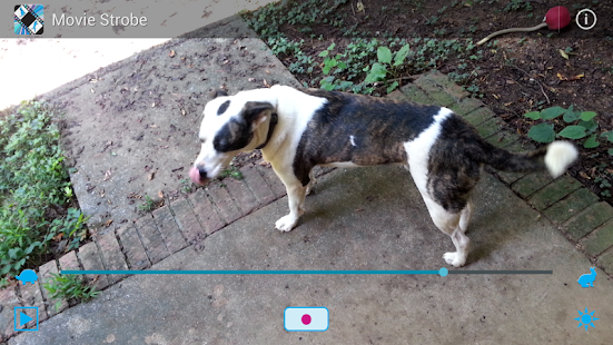 Free Movie Strobe APK for Android