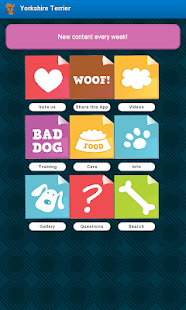 How to get Yorkshire Terrier Dogs 1.00 unlimited apk for pc