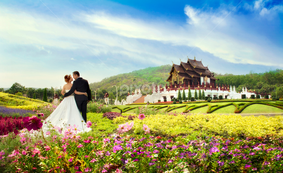 wonderful wedding in royal flora by Johann Nicholas - Wedding Bride & Groom