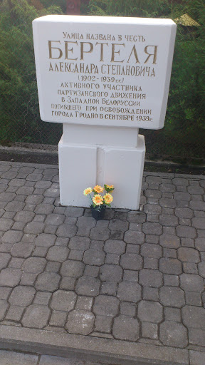 Памятник в честь Бертеля А.С. (партизан)