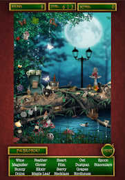 Hidden Objects Lost Forest poster 1