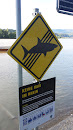 Keine Haie im Rhein