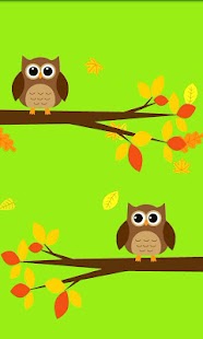 Baby Owls Live Wallpaper
