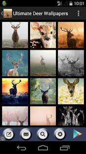 Download Ultimate Deer Wallpapers APK