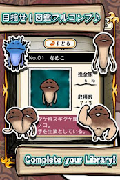 Mushroom Garden poster 2