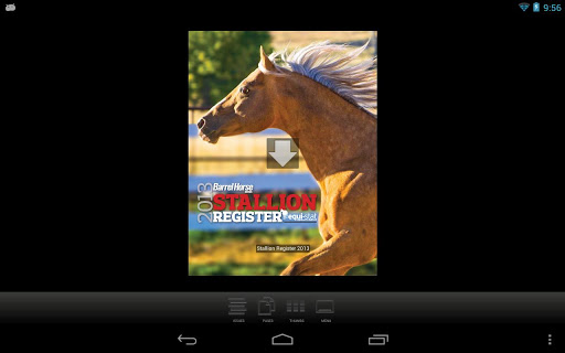 Barrel Horse Stallion Register