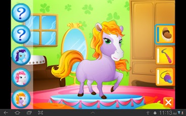 �������� Pet ����� ���������