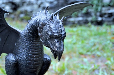 Dragon Screenshots 2