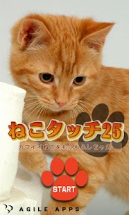 How to install ねこタッチ25 1.2 mod apk for laptop