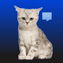 Talking Pussycat Notifications logo