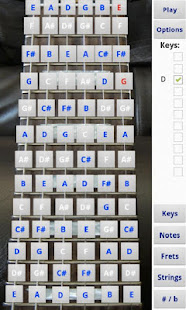Electric Guitar Fretboard(圖4)-速報App