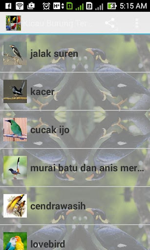 Kicau Burung Terbaik