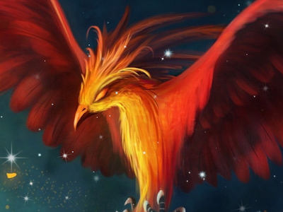 √完了しました！ 不死鳥 壁紙 212678-不死鳥 壁紙