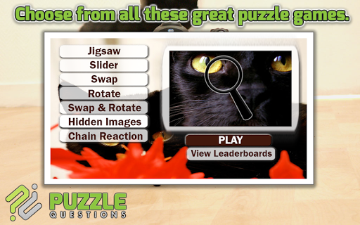 Black Cats Puzzle Games