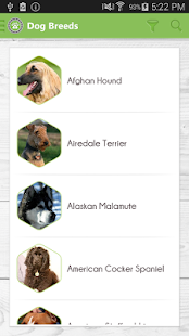 HUNDO - All About dogs(圖5)-速報App