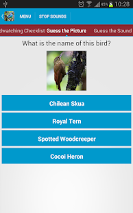 South American Birds Free(圖4)-速報App