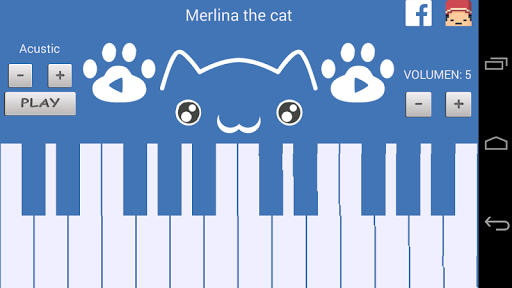 Piano Cat