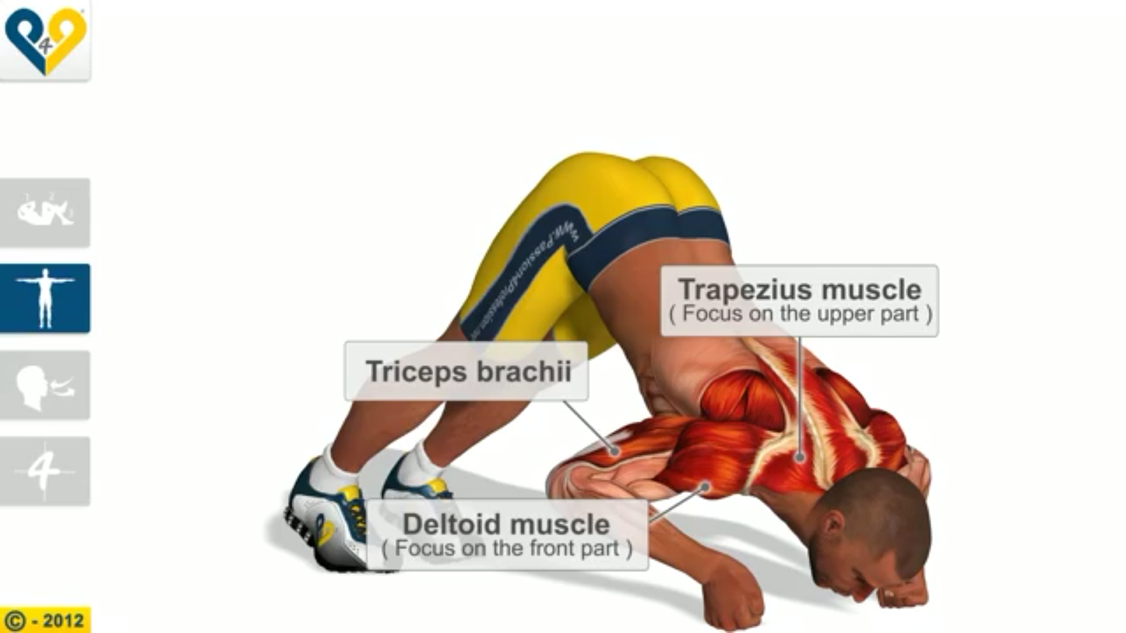 Chest Workout Android Apps on Google Play