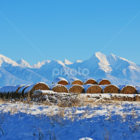 mountain range by Tiecha Broussard - Landscapes Mountains & Hills