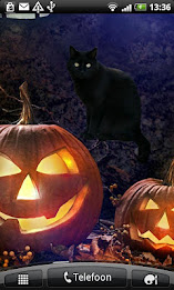 Black Cat Sticker poster 2