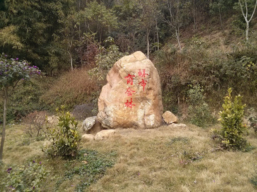 Jiangmen Stone