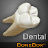 BoneBox™ - Dental Lite1.0