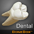 BoneBoxâ„¢ - Dental Lite1.0