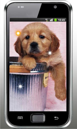 Puppy Songs HD Live Wallpaper