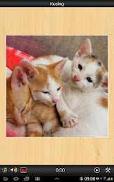 Best Cats game poster 2