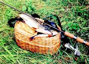 [ultralight0[4].jpg]