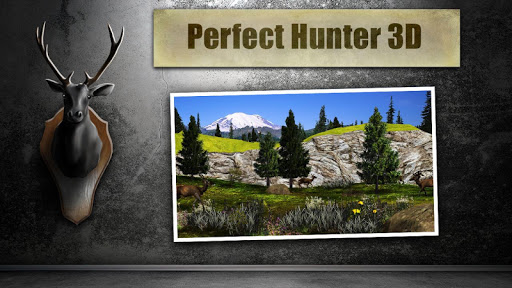 【免費模擬App】Perfect Hunter 3D-APP點子